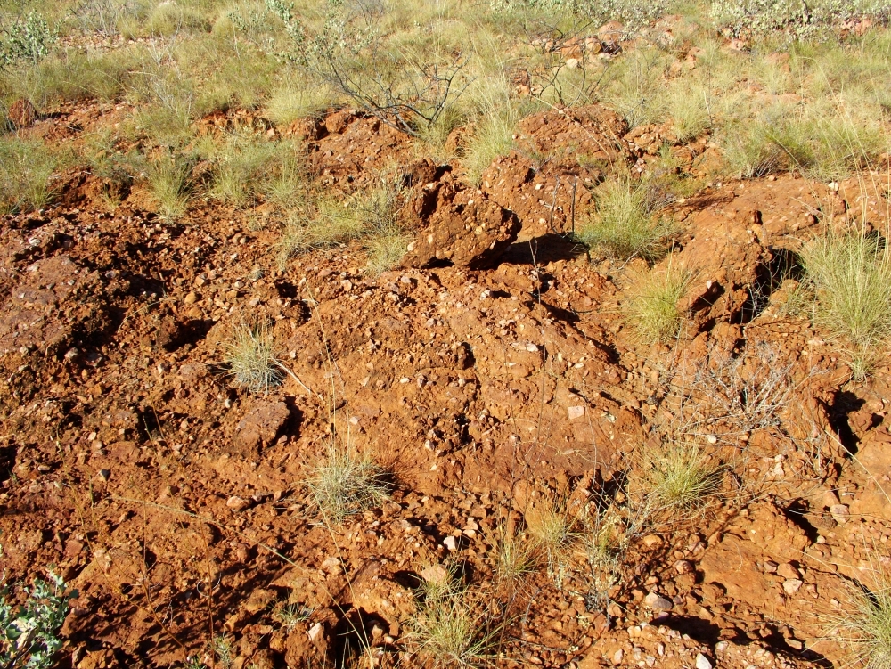 Another rock outcrop