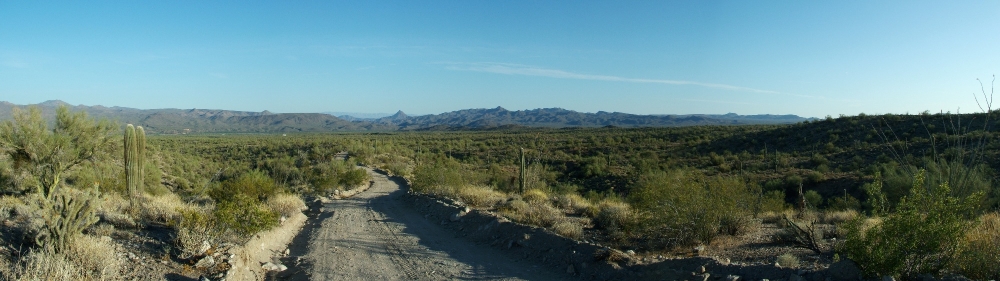 Horned Lizard Ranch Panorama